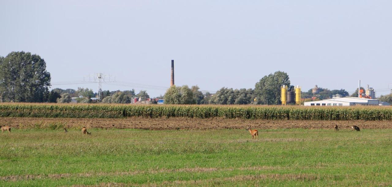 Agroturystyka Zulawiaczek Nowy Dwór Gdański Exterior foto