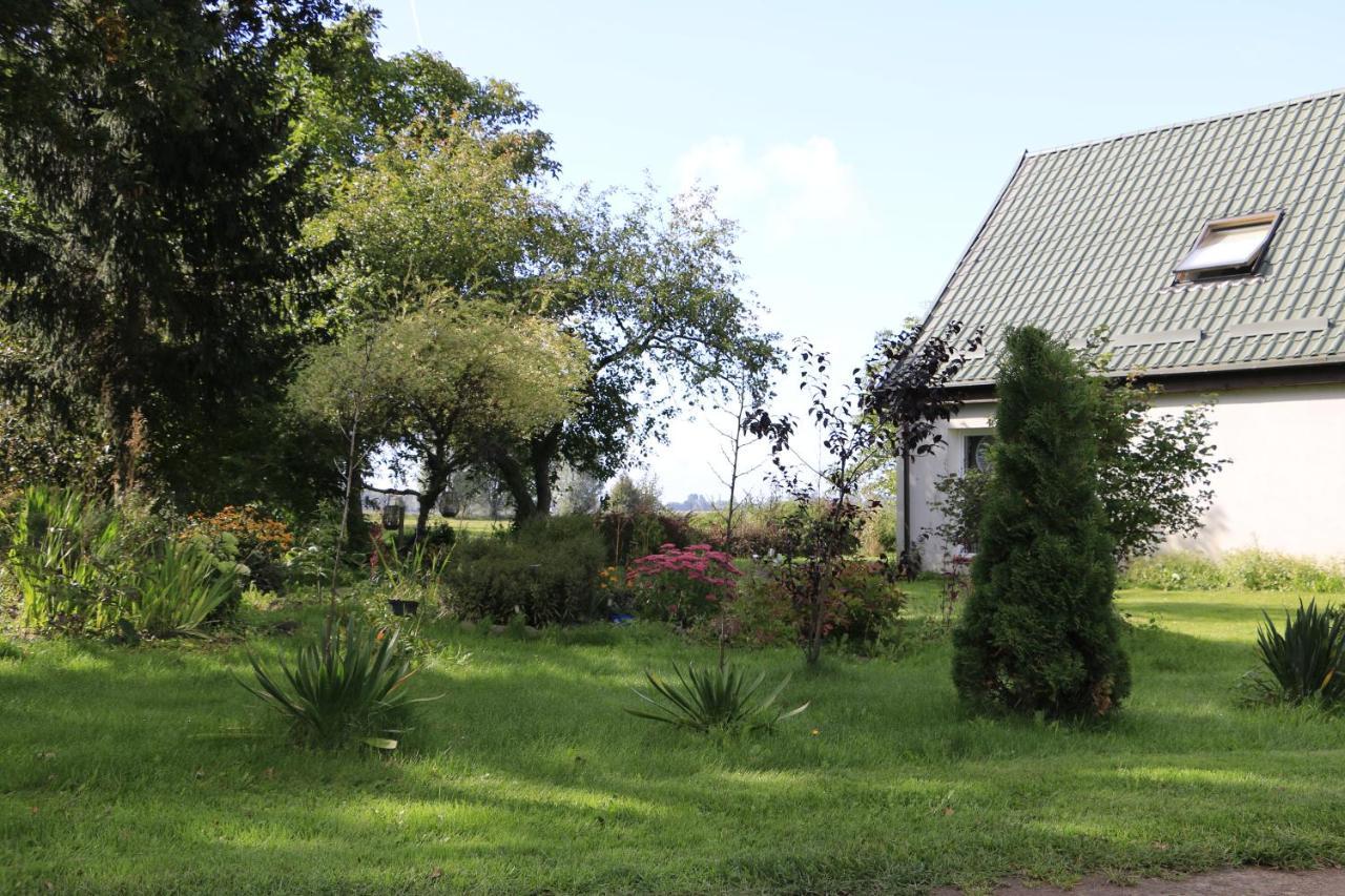 Agroturystyka Zulawiaczek Nowy Dwór Gdański Exterior foto