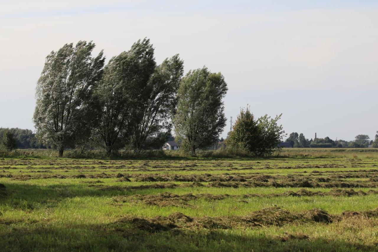 Agroturystyka Zulawiaczek Nowy Dwór Gdański Exterior foto